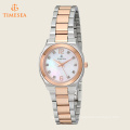 Women′s Diamond Analog Display Japanese Quartz Two Tone Watch 71203